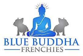 Blue Buddha Coupons
